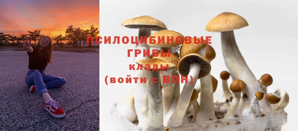 тгк Сафоново