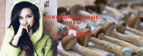 эйфоретик Саяногорск