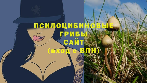 эйфоретик Саяногорск