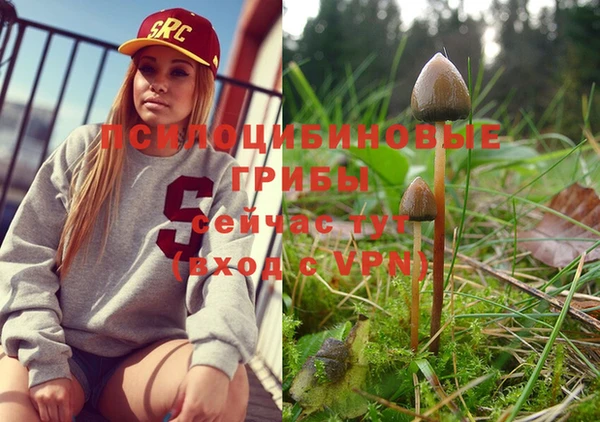 круглые Сатка