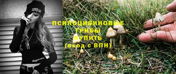 эйфоретик Саяногорск