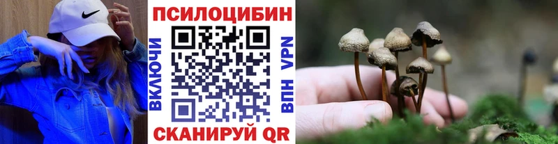 Галлюциногенные грибы Psilocybine cubensis  Ядрин 