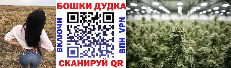 Шишки марихуана VHQ  Ядрин 